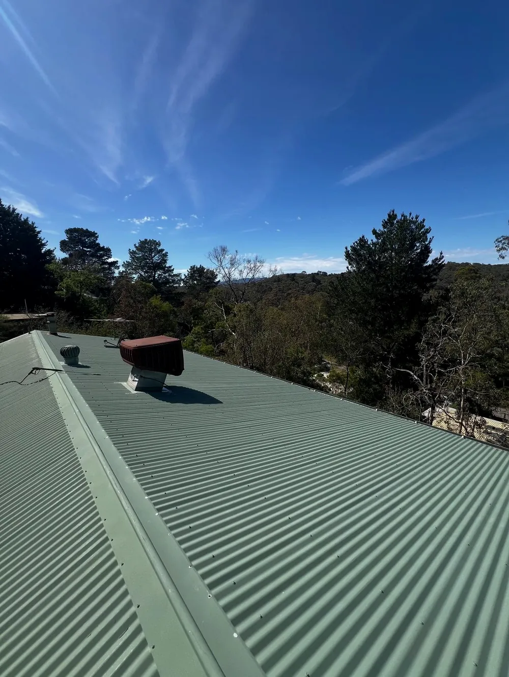 Green Colorbond roof after a full wash in North Warrandyte
